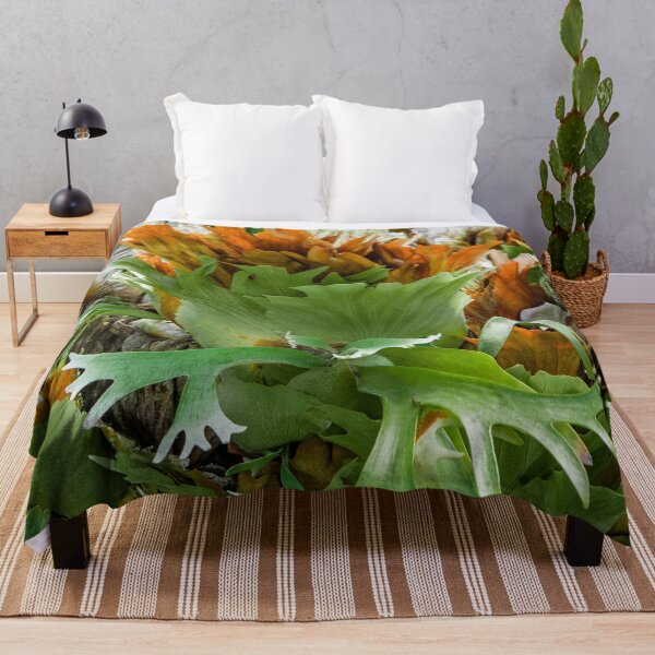 Item preview, Mature Form of Staghorn Ferns designed and sold by Chee Sim.