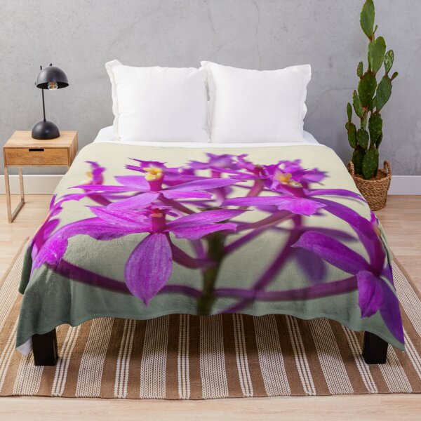Item preview, Epi Pretty Lady Misumi Orchid Flowers designed and sold by Chee Sim.