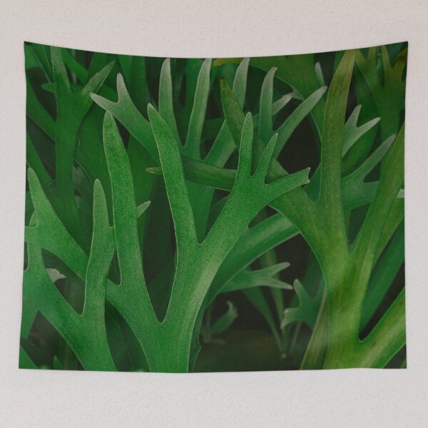 Item preview, Staghorn Ferns Pattern designed and sold by Chee Sim.
