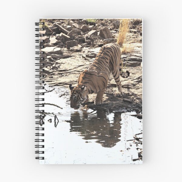 Item preview, Time to drink, mustn't get the paws wet! designed and sold by walks4000.