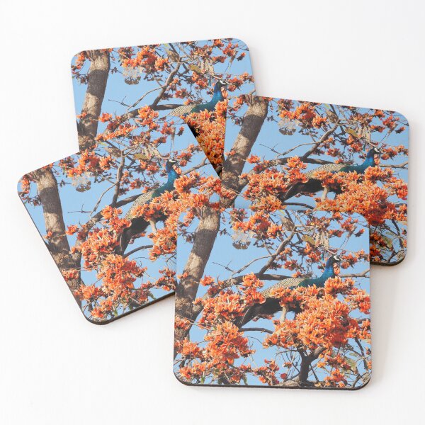 Item preview, Show off in a show off tree (or) peacock in an Indian flame tree... designed and sold by walks4000.
