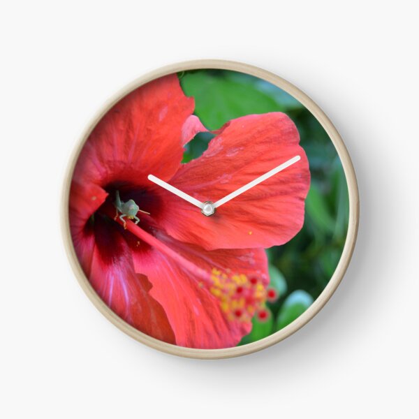 Käfer und Blume Uhr