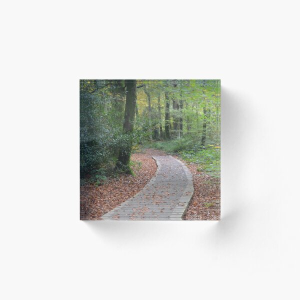 enchanted forest trail Acrylic Block