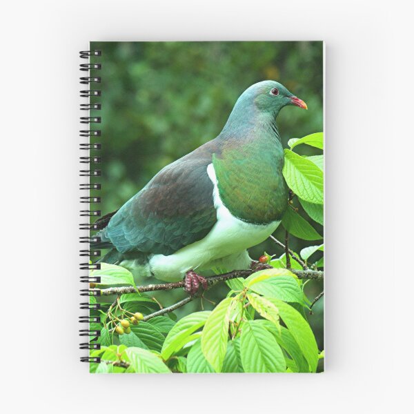 Item preview,  Kereru - the Native Pigeon of New Zealand. designed and sold by Roy  Massicks.