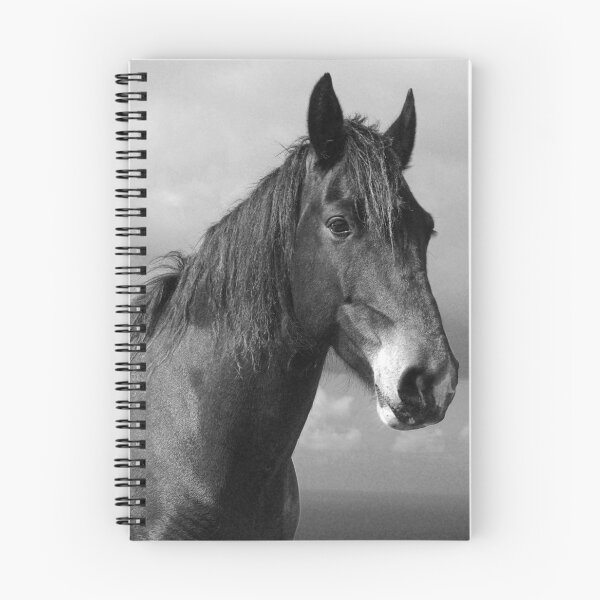 Item preview, Horse portrait designed and sold by Gaspar Avila.