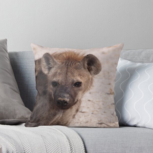 Item preview, What you lookin' at? Hyena hello in Namibia designed and sold by walks4000.
