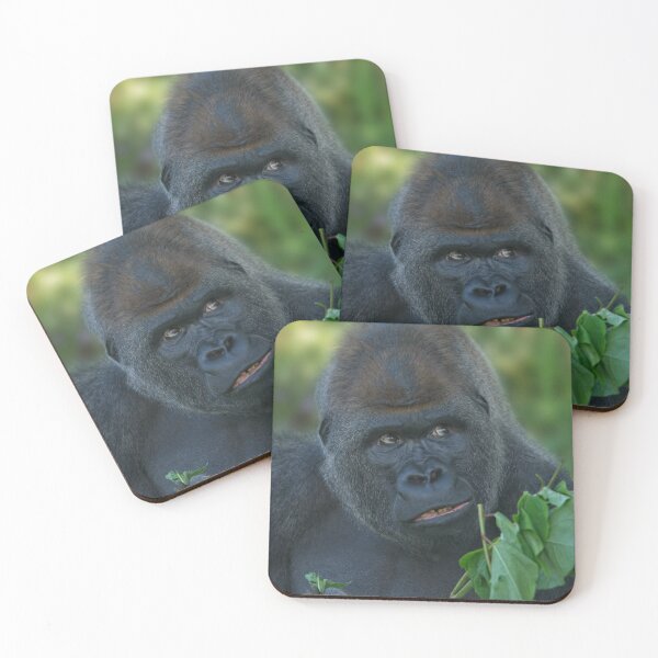Item preview, Silverback Got His Eye One Some More Leaves designed and sold by rawshutterbug.