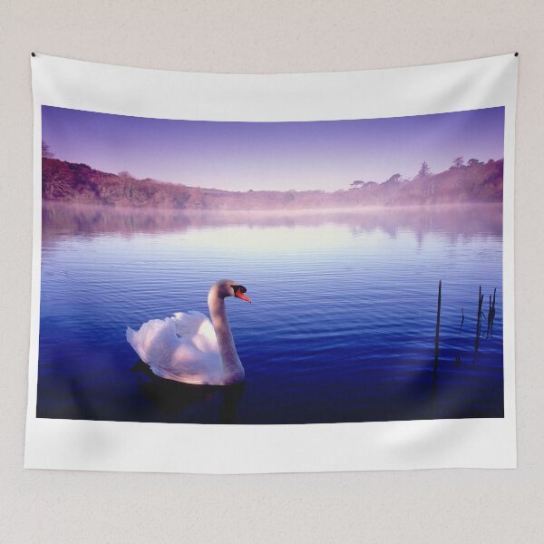 Item preview, Dappled Swan designed and sold by AntonyMitchell.