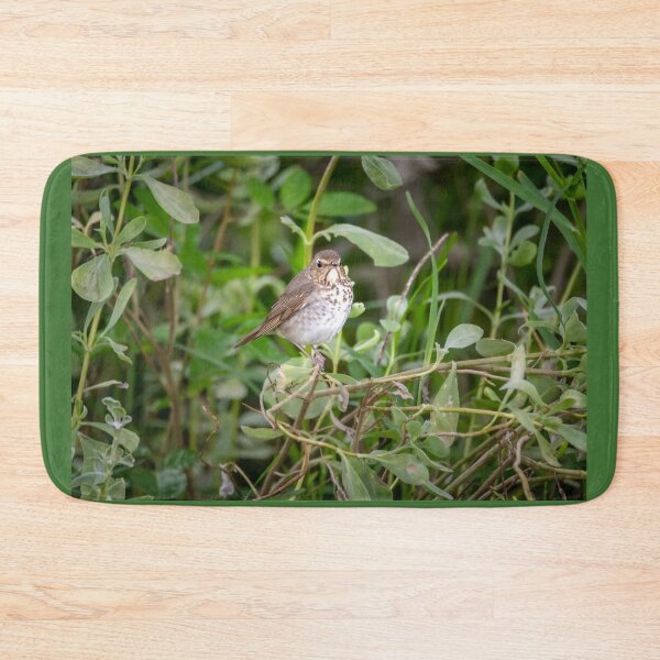 Item preview, Swainson's Thrush designed and sold by Debra Martz.