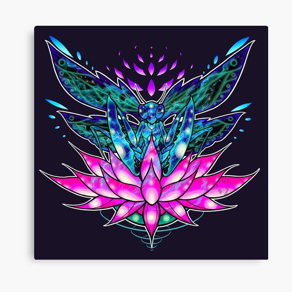 Trust Your Intuition Enlightenment Mantis Digital Design Canvas Print