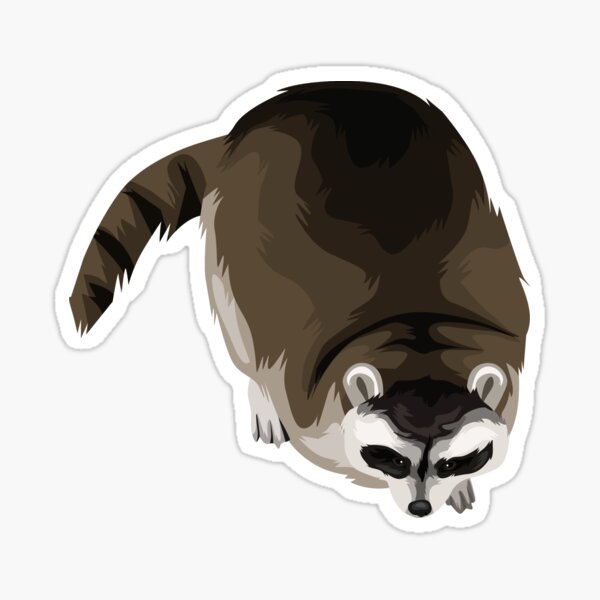 An Absolute Trash Panda Sticker