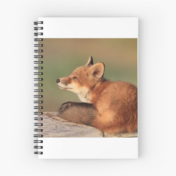 Item preview, Relaxation (Fox Kit) designed and sold by akaurora.