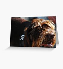 Shaggy Greeting Card