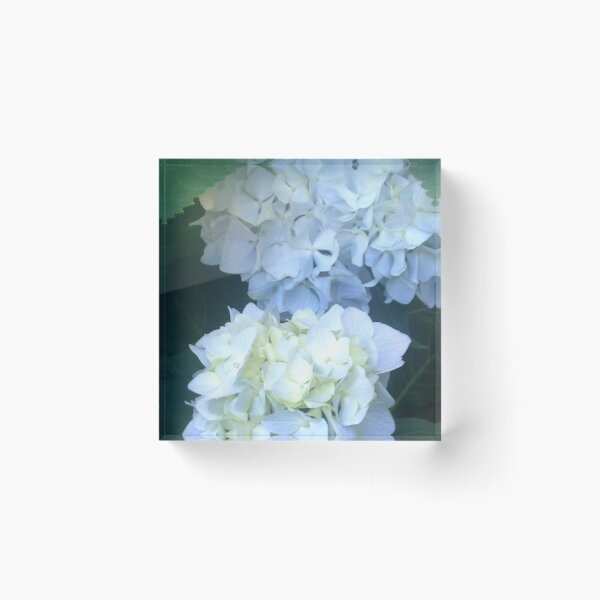 Item preview, Blue Hydrangea 4 designed and sold by KimSyOk.