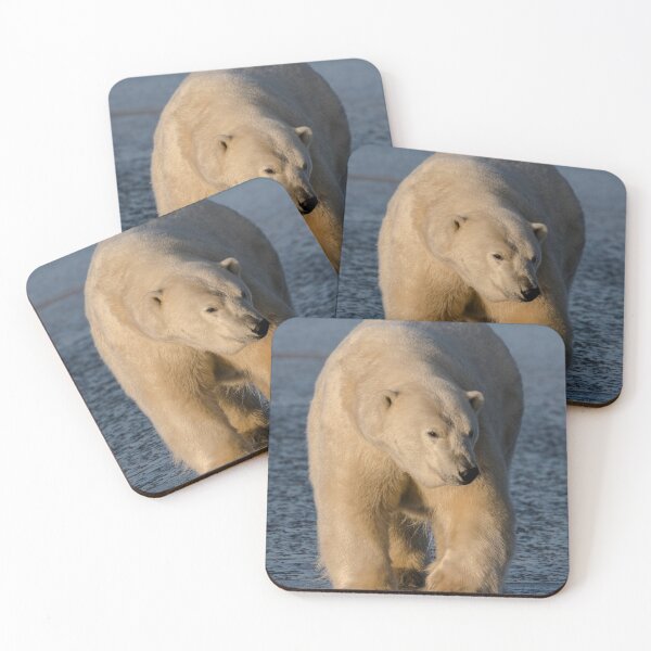 Item preview, STOCK ~ Polar Bear #1 designed and sold by akaurora.