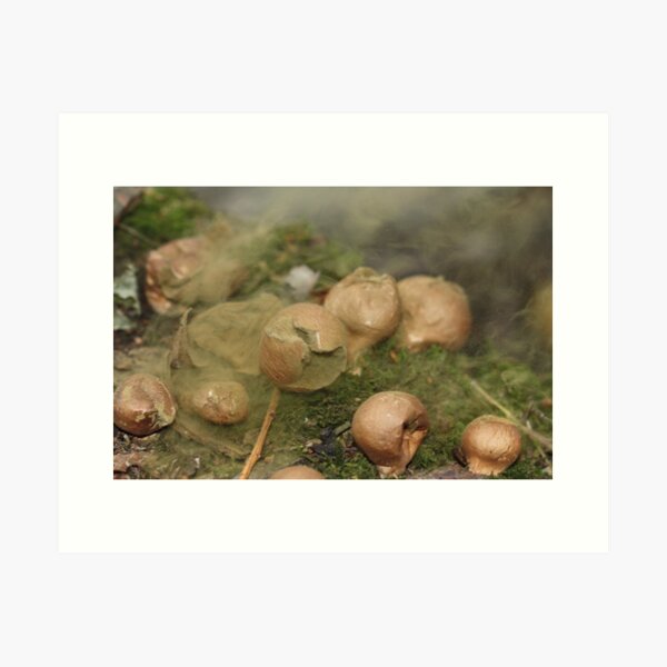Item preview, Common Puffball liberating spores designed and sold by dilouise.