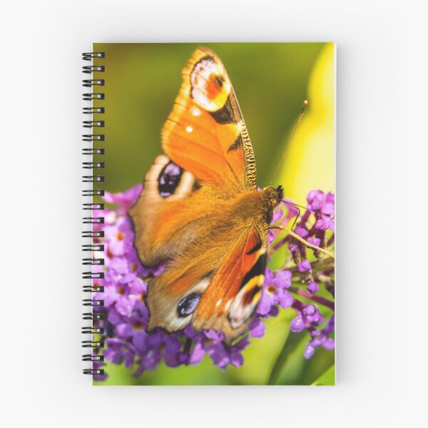 Item preview, BUTTERFLY PRINT designed and sold by lindaully.