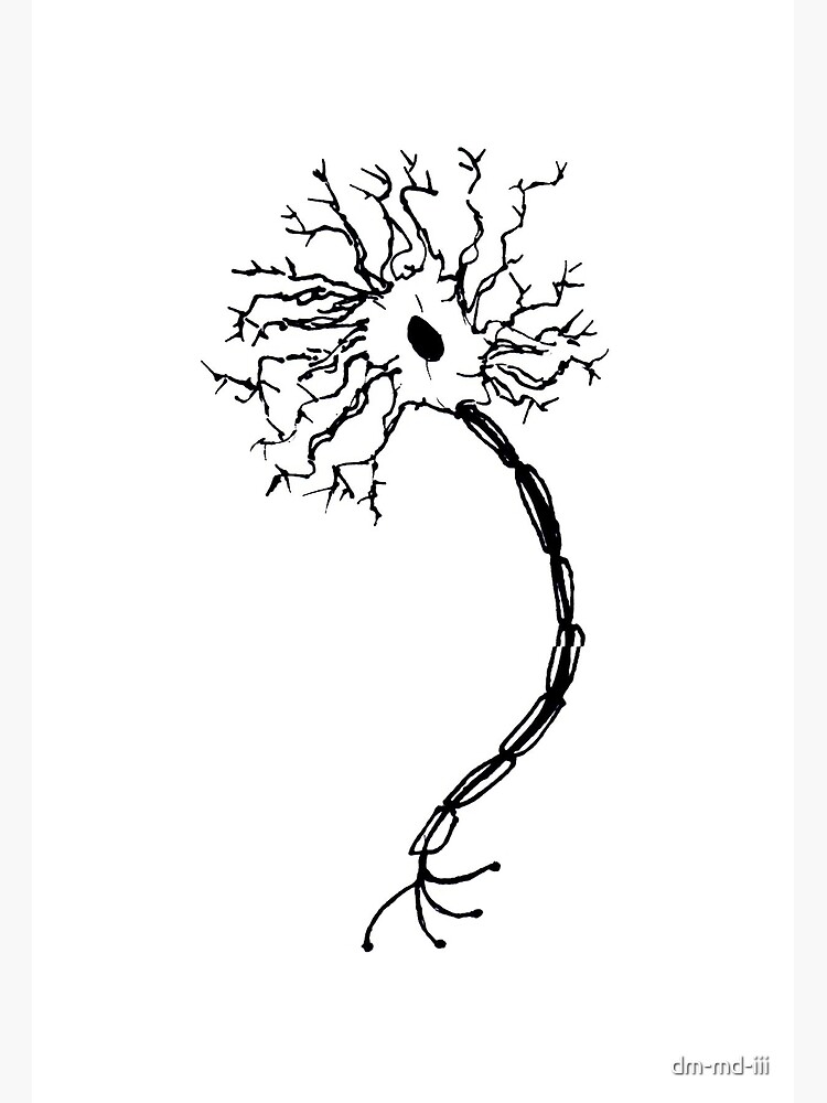 Simple Neuron Cartoon : Most relevant best selling latest uploads