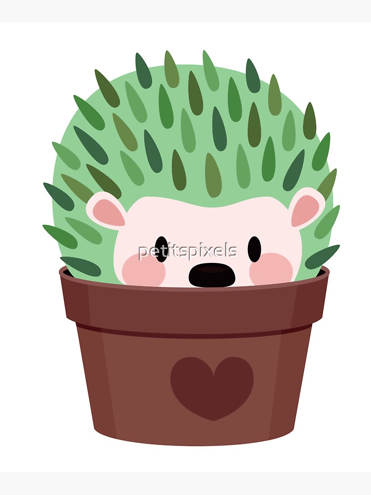 Hedgehogs disguised as cactuses by petitspixels
