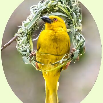 Vorschaubild zum Design Geschenkidee Webervogel beim Nestbau von Katja LebenFreude