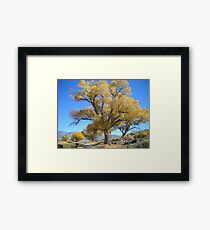 Cloudless Framed Print