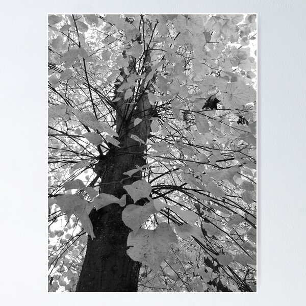 Item preview, Leaves Like Life designed and sold by Vanessa Warren.