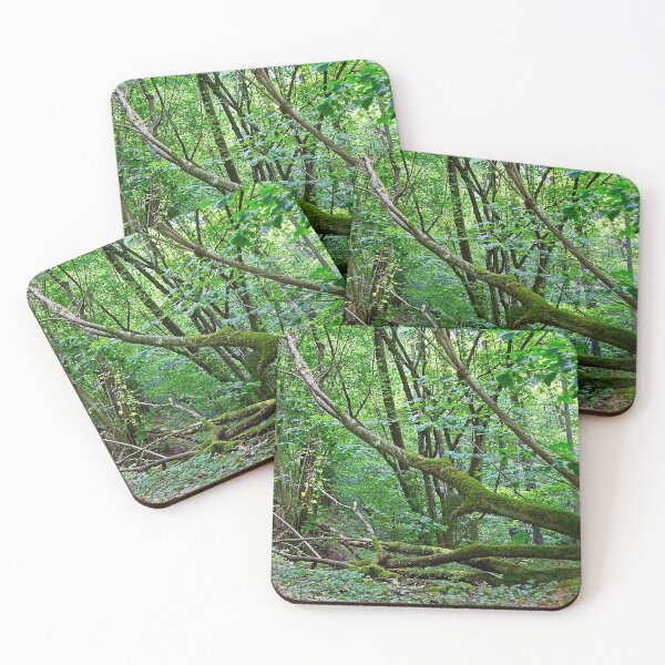 Item preview, Summer in the deciduous forest designed and sold by Elzbieta Fazel.