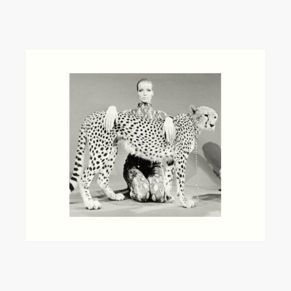 Veruschka : Cheetah III Art Print