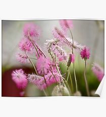 Silky spring flowers & Albatross by Brown Sugar. views (267) Favs (3) Thx! ) . Featured in Spring Blooms.Thanks !!! Poster