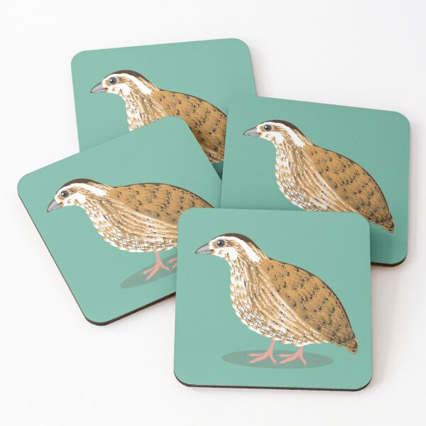 Item preview, quail farm bird illustration designed and sold by vectorworks51.