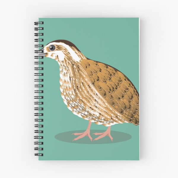 Item preview, quail farm bird illustration designed and sold by vectorworks51.
