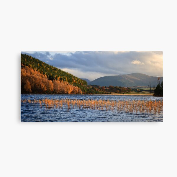 Item preview, Autumn at Loch Pityoulish designed and sold by Christopher Thomson.
