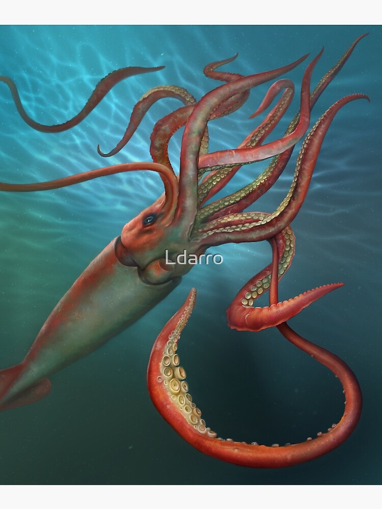 Giant Squid by Ldarro