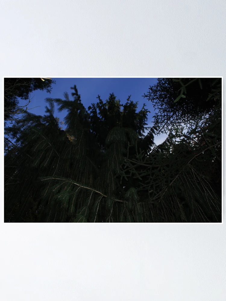 Thumbnail 1 of 3, Poster, DUSK designed and sold by Rakk80.