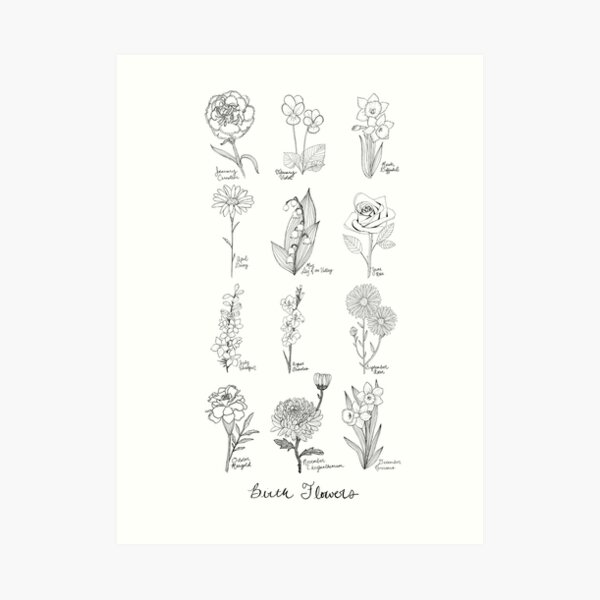 Impression artistique « Fleurs de naissance / Fleurs d'encre noir et blanc  / Dessin botanique / Fleurs d'anniversaire », par lauramaxwell | Redbubble