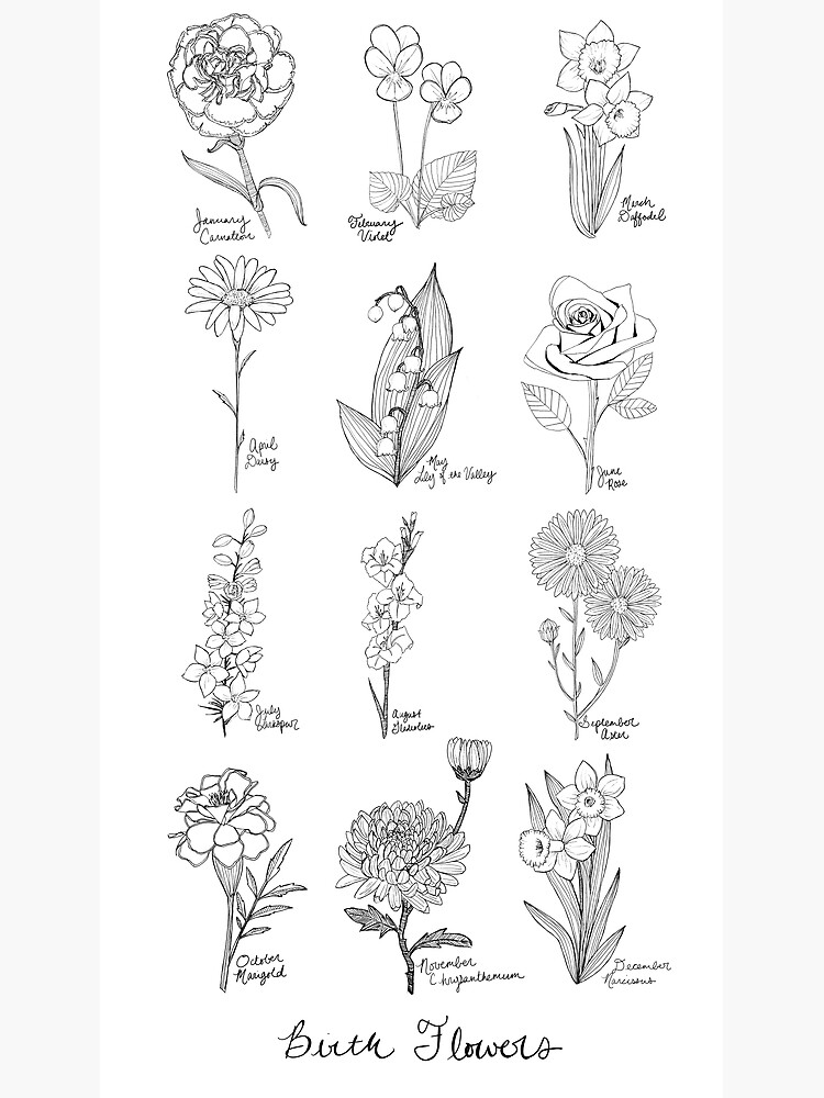 Carte de vœux « Fleurs de naissance / Fleurs d'encre noir et blanc / Dessin  botanique / Fleurs d'anniversaire », par lauramaxwell | Redbubble