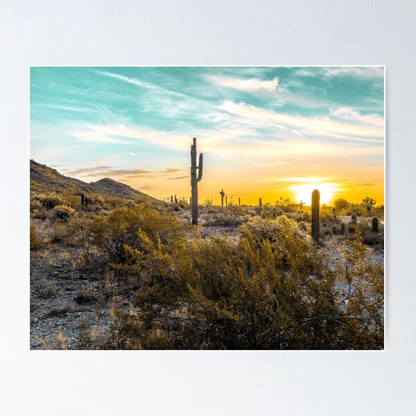Item preview, Desert Sunrise // Picture of Saguaro Cactus and a Teal Blue Sky in the Desert designed and sold by desertxpalm.