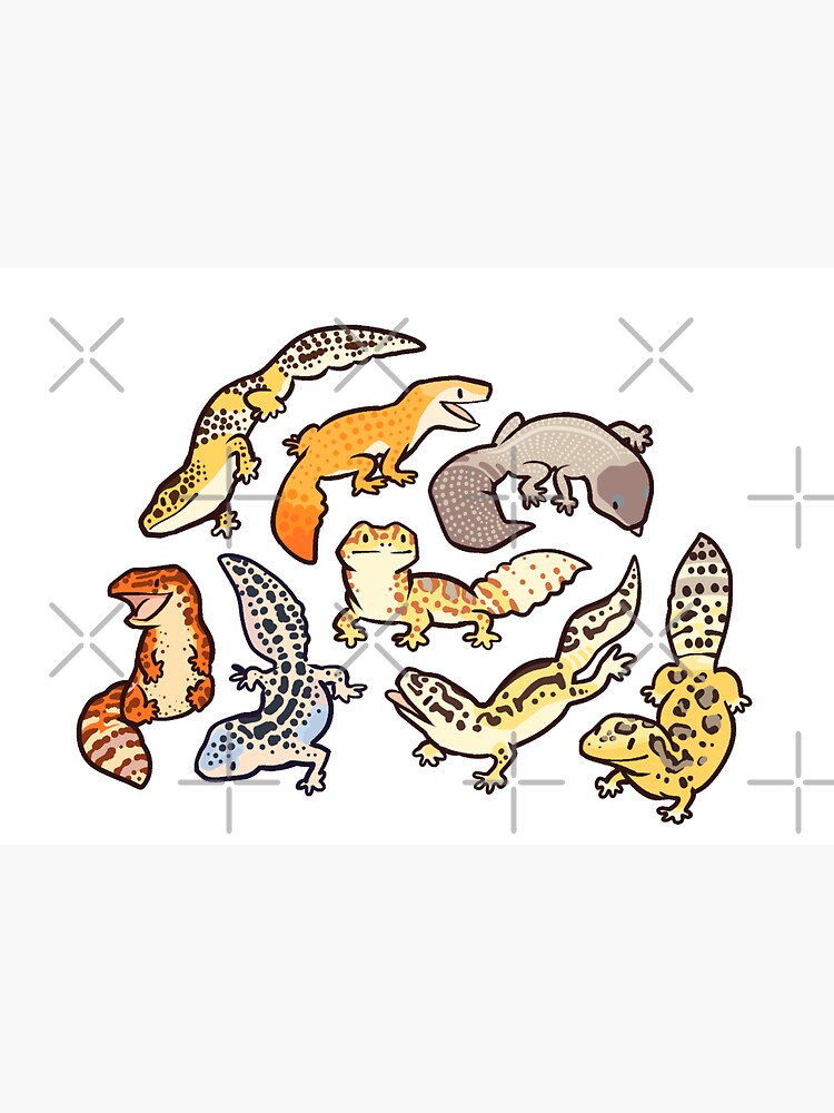 chub gecko babies by Colordrilos
