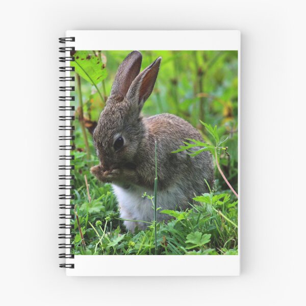 Item preview, Cute Rabbit designed and sold by ellenmpics.