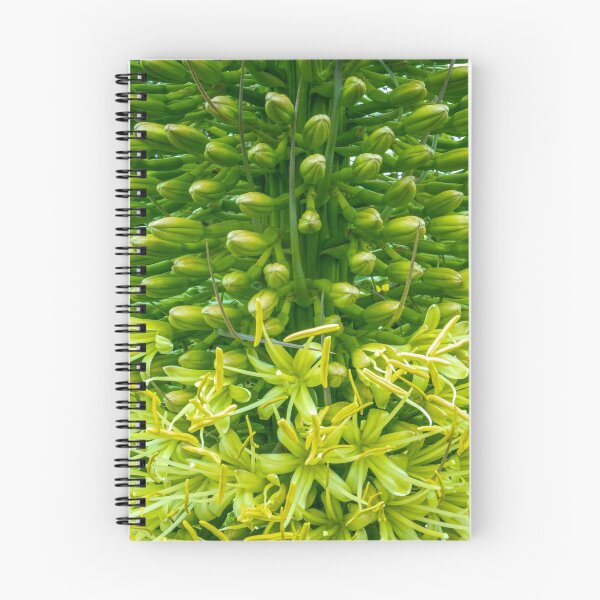 Item preview, Green Agave Flower (Agave attenuata) designed and sold by DPalmer.