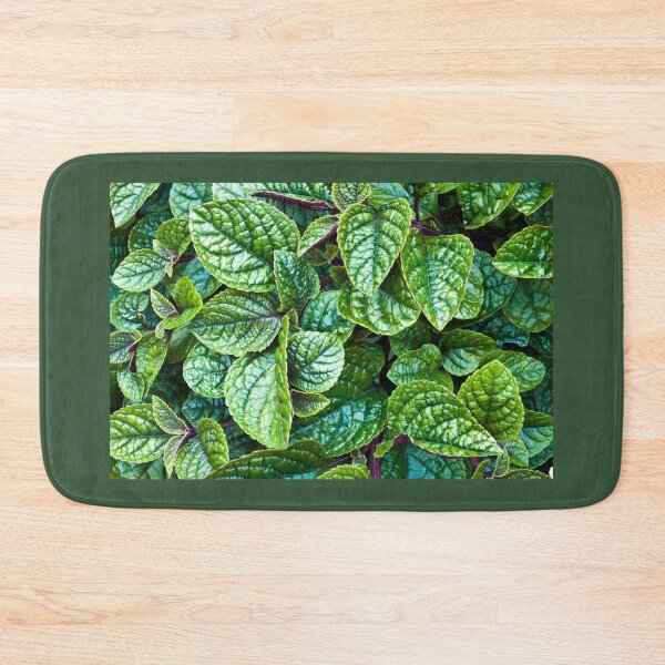 Item preview, Nico Plectranthus designed and sold by Sandra Foster.