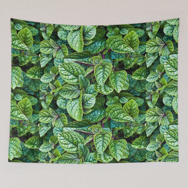 Item preview, Nico Plectranthus designed and sold by Sandra Foster.