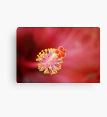 Bokeh Hibiscus Canvas Print
