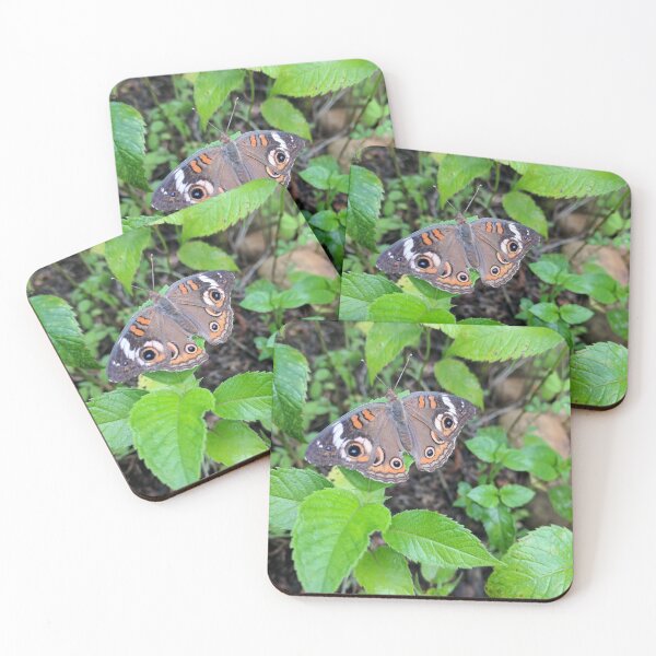 Item preview, Buckeye designed and sold by Jenambs.