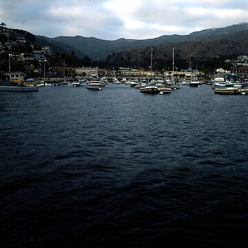 Artwork thumbnail, Avalon Morning by Rodney Johnson