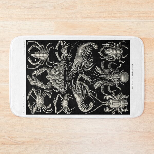 Item preview, Plate 86. Decapods. Crabs, lobsters, crayfish, etc. designed and sold by Squirrox.