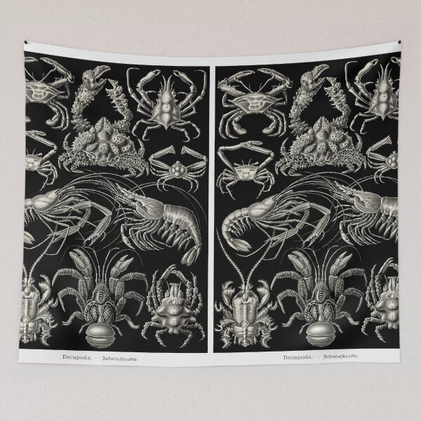 Item preview, Plate 86. Decapods. Crabs, lobsters, crayfish, etc. designed and sold by Squirrox.