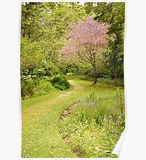 Giant Rhubarb??? Poster