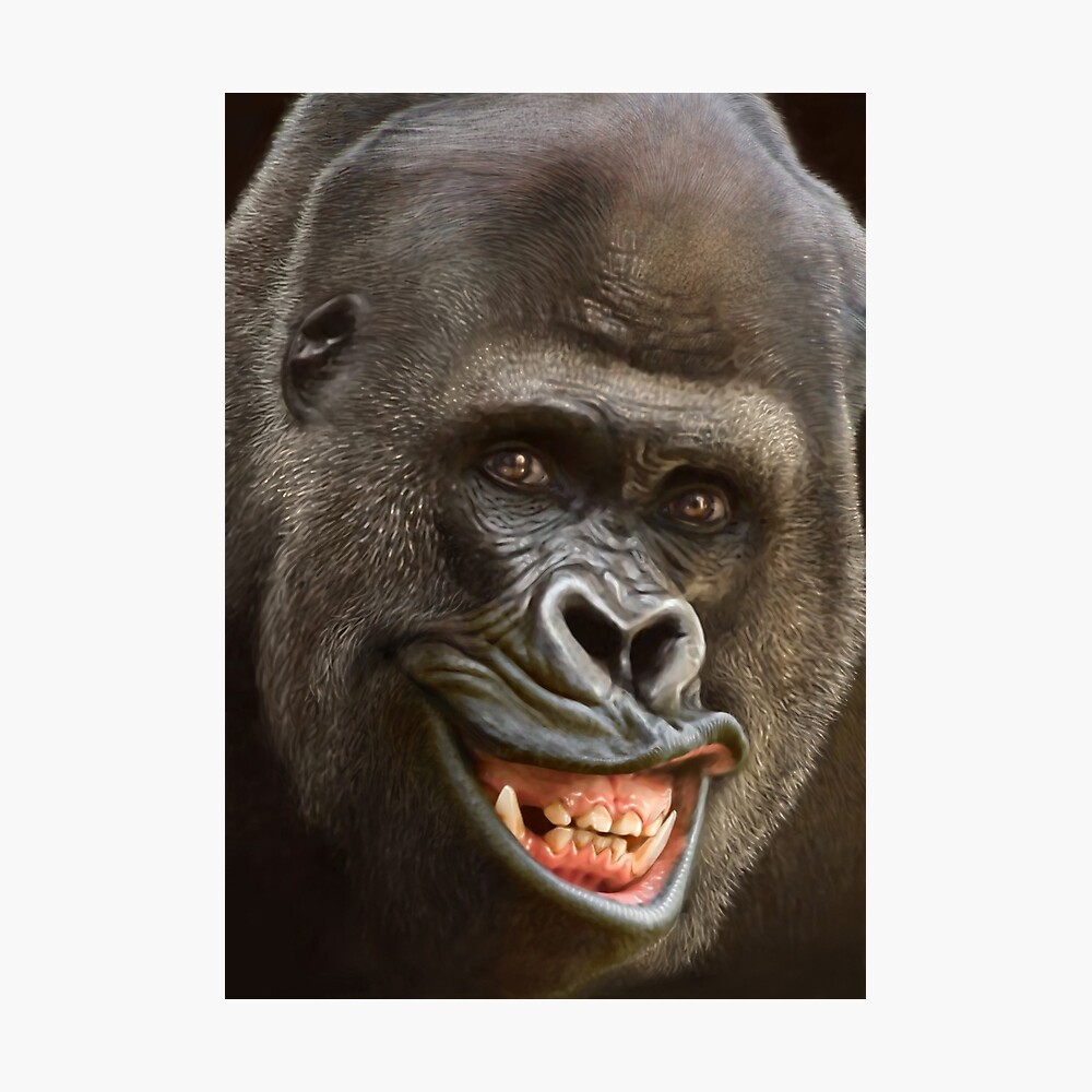 Smiling Gorilla Poster