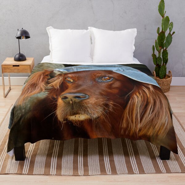 Item preview, Irish Setter ~ cheeky ~ designed and sold by laura-S.